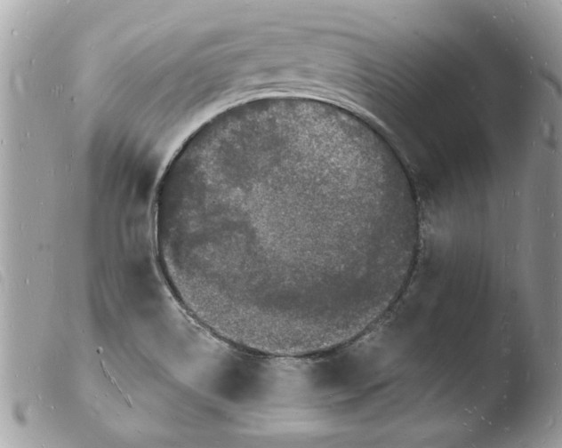 X0000103971514200810171913