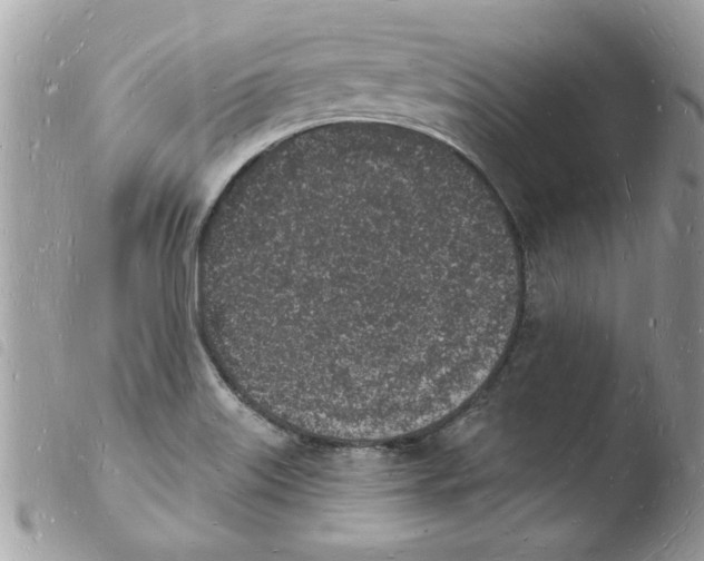 X0000103971515200810171913