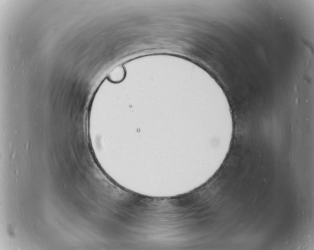 X0000103971516200810171913