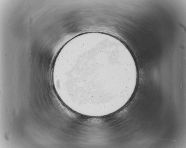 X0000103971517200810171913