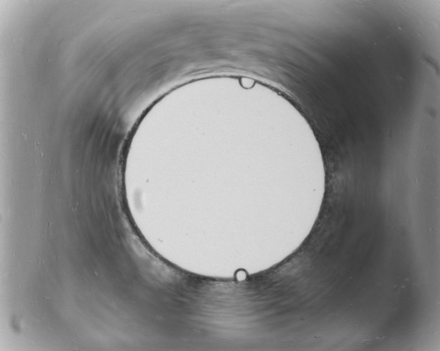 X0000103971518200810171913