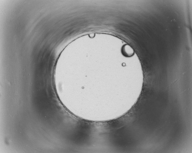 X0000103971520200810171913