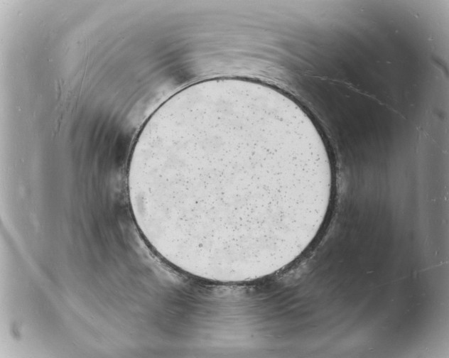 X0000103971521200810171913