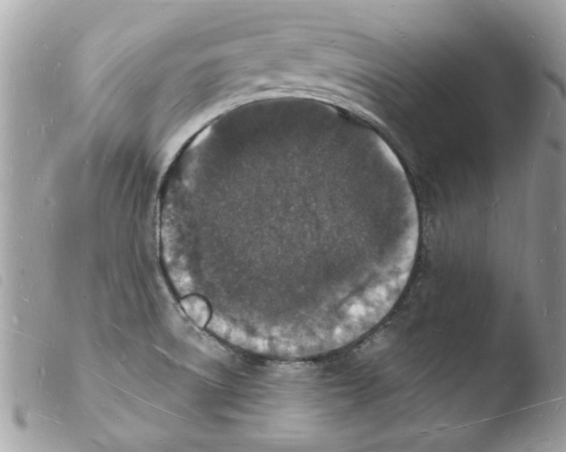 X0000103971522200810171913