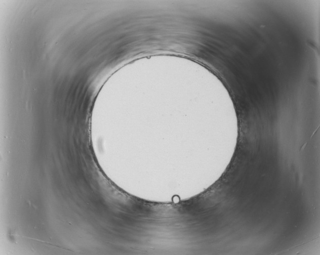 X0000103971524200810171913