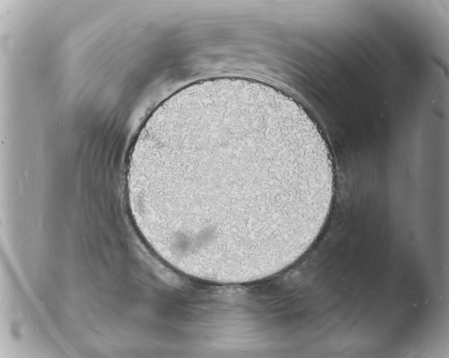 X0000103971525200810171913