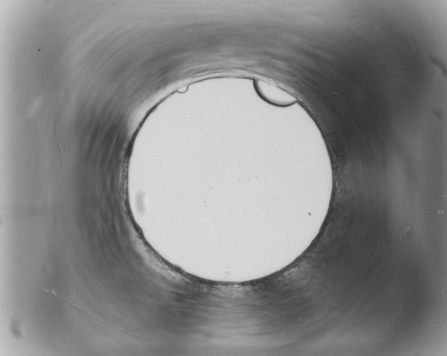 X0000103971526200810171913