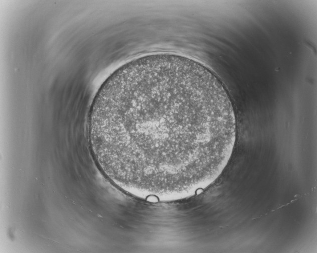 X0000103971527200810171913