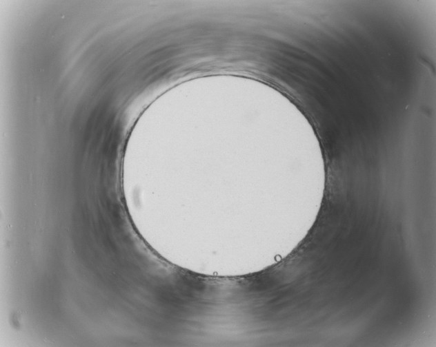 X0000103971528200810171913