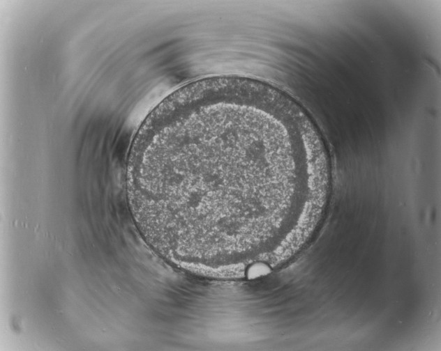 X0000103971529200810171913