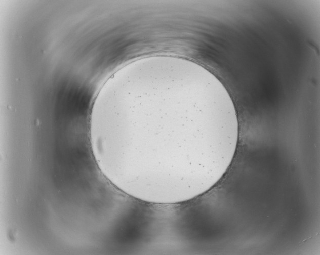 X0000103971532200810171913