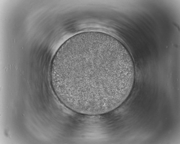 X0000103971533200810171913