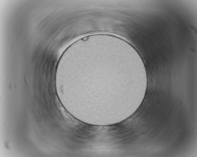 X0000103971534200810171913