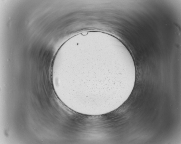 X0000103971535200810171913