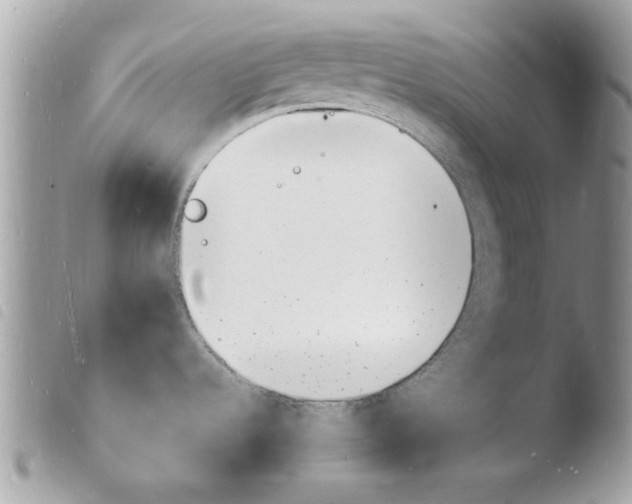 X0000103971536200810171913