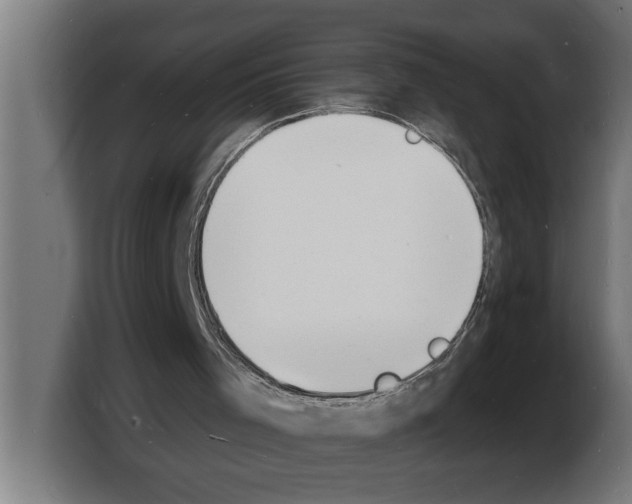 X0000103970001200810311534