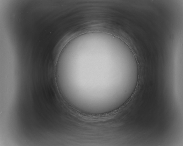 X0000103970003200810311534