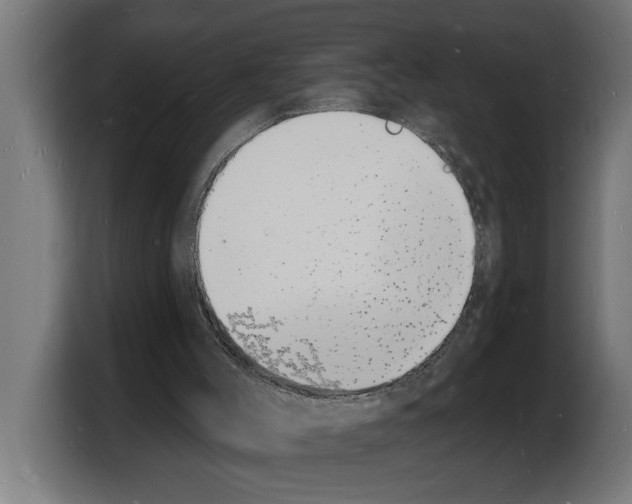 X0000103970004200810311534