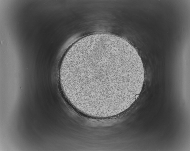 X0000103970005200810311534