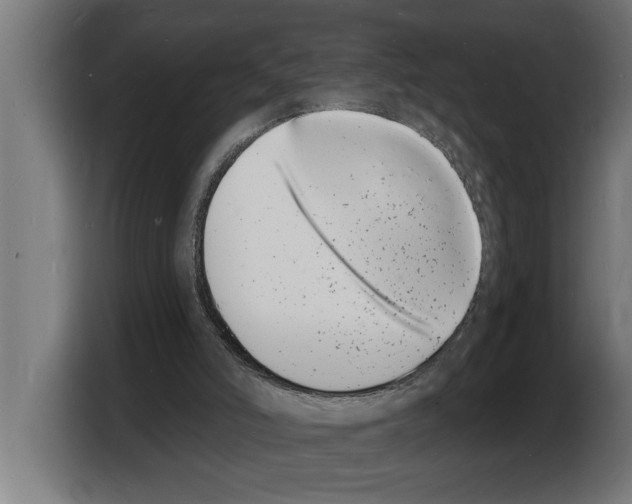 X0000103970006200810311534