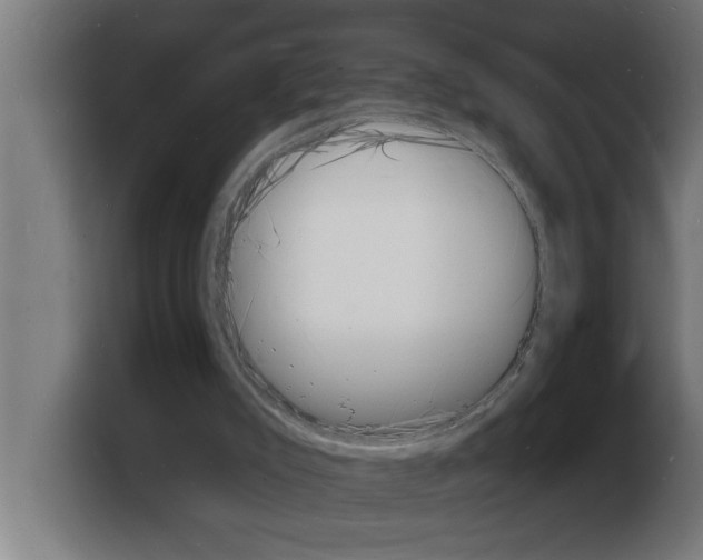 X0000103970007200810311534