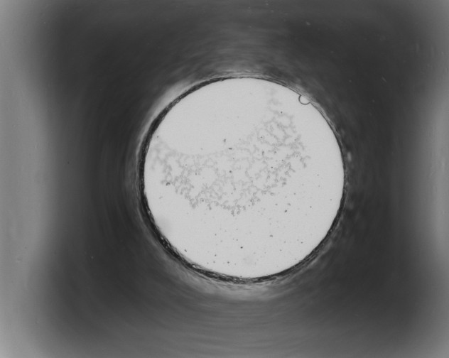 X0000103970008200810311534