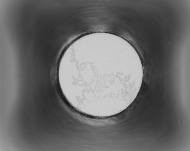 X0000103970012200810311534