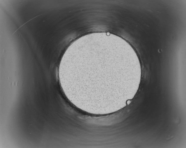 X0000103970013200810311534