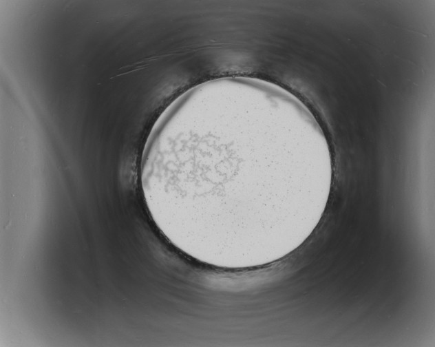 X0000103970017200810311534