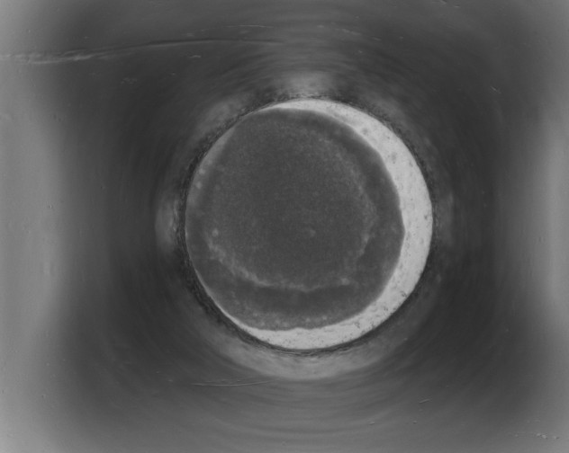 X0000103970018200810311534