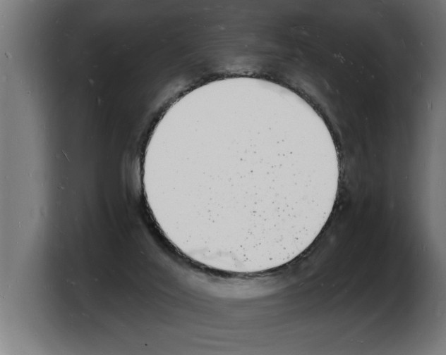 X0000103970020200810311534