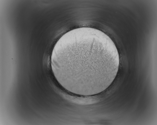 X0000103970024200810311533