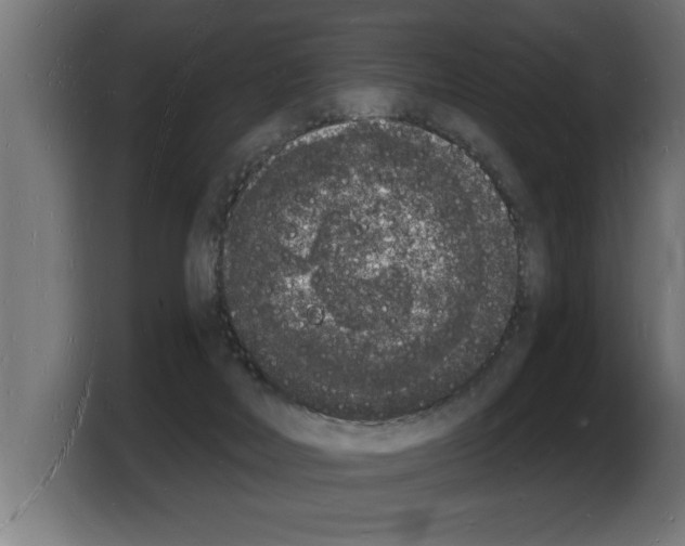 X0000103970026200810311533