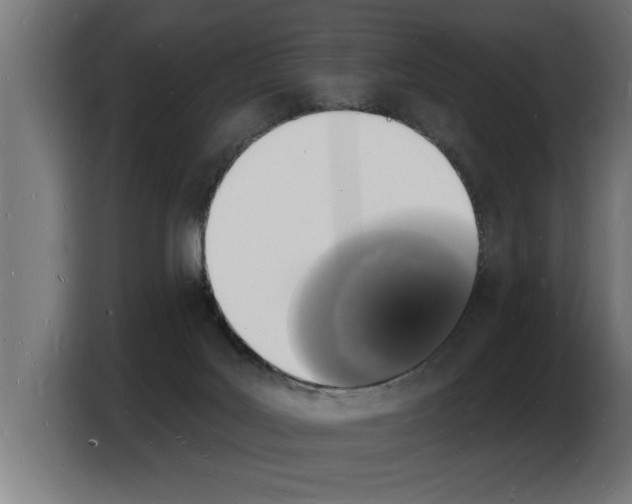 X0000103970027200810311533