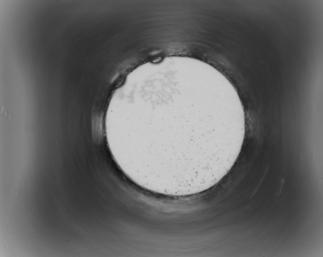 X0000103970028200810311533