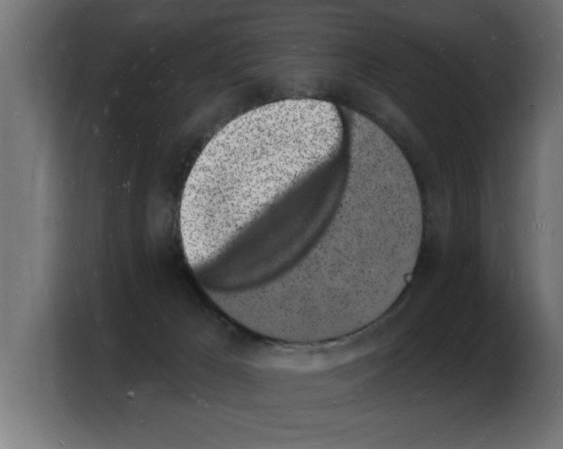 X0000103970029200810311533