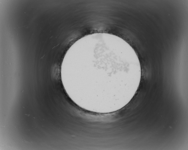 X0000103970036200810311533