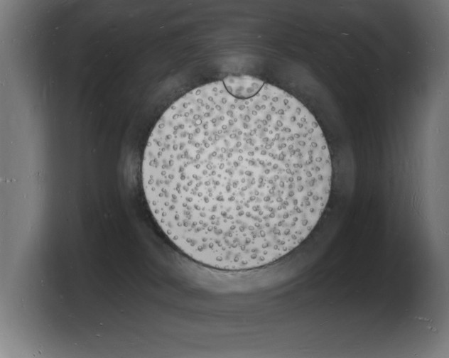X0000103970038200810311533