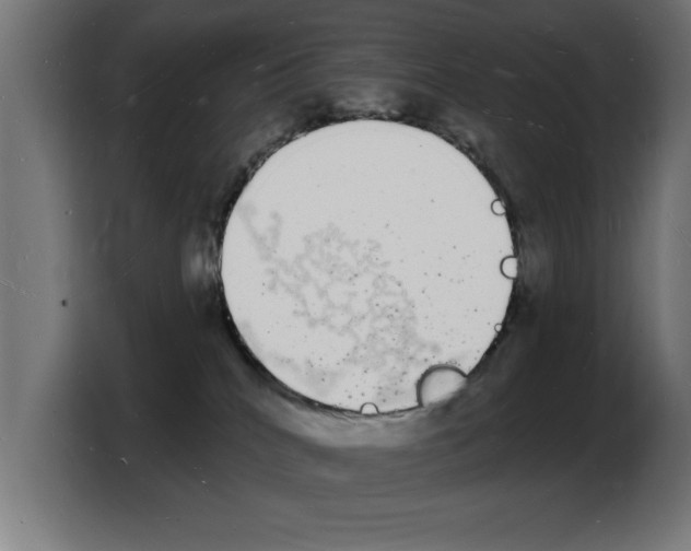 X0000103970040200810311533