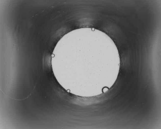 X0000103970041200810311533