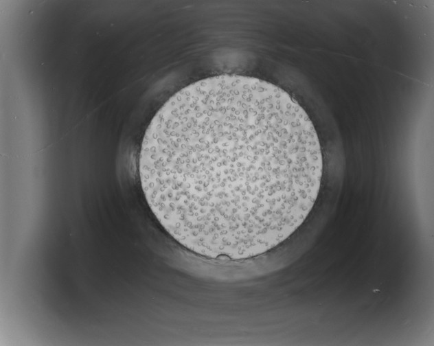X0000103970042200810311533