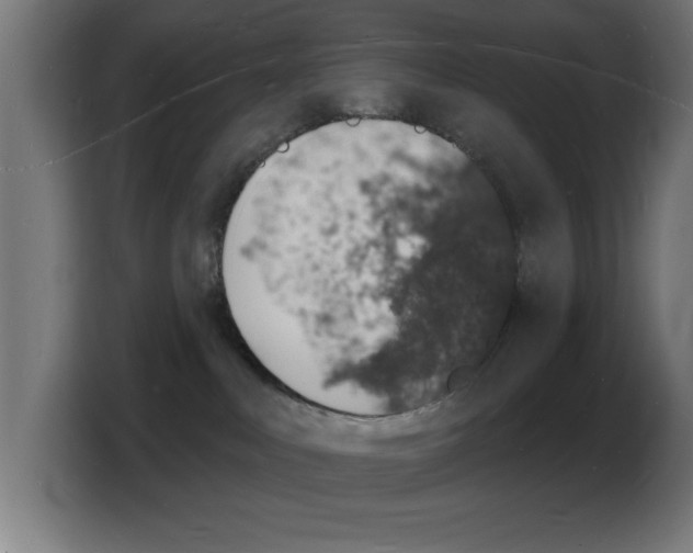 X0000103970043200810311533