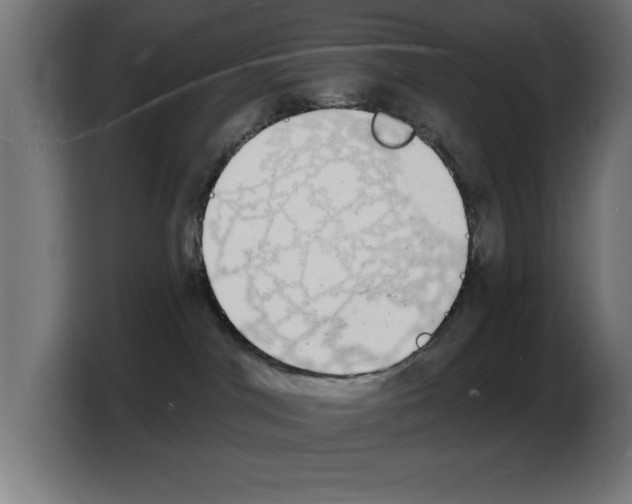 X0000103970044200810311533