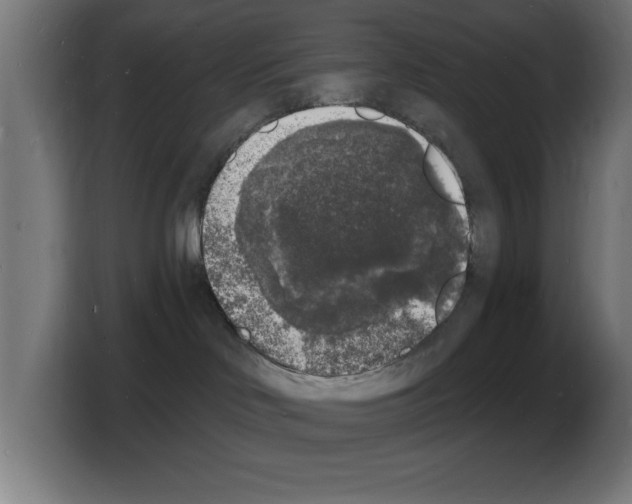X0000103970046200810311533