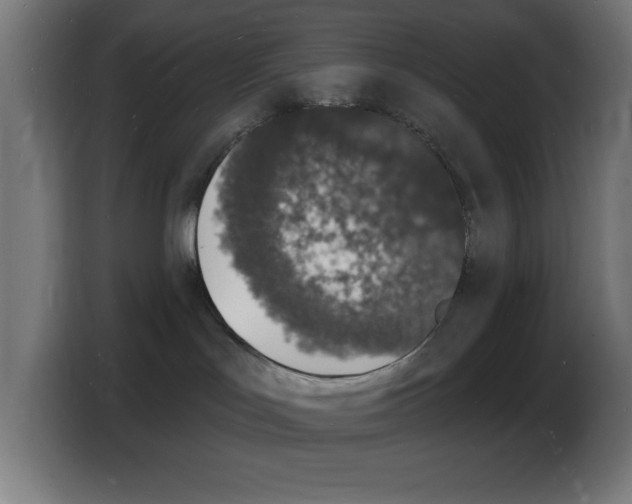 X0000103970047200810311533