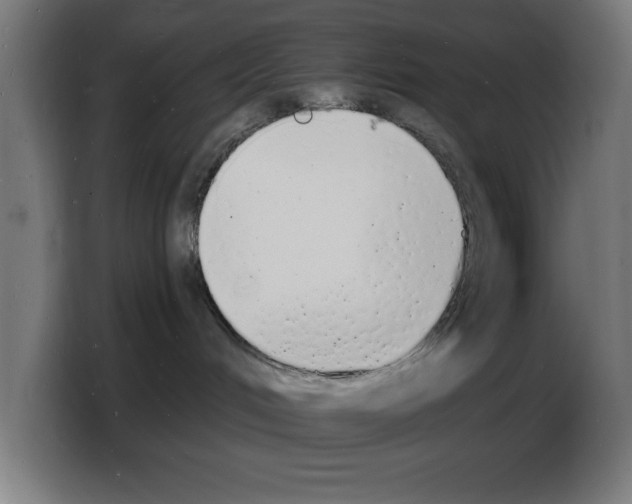 X0000103970048200810311533