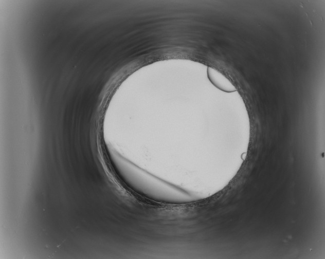 X0000103970049200810311533