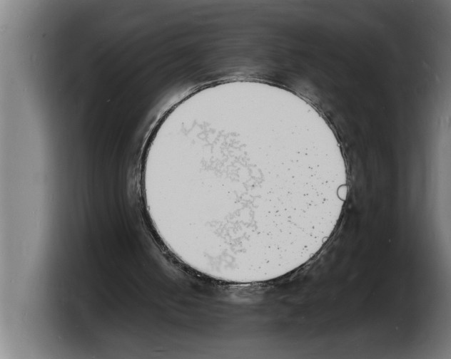 X0000103970050200810311533