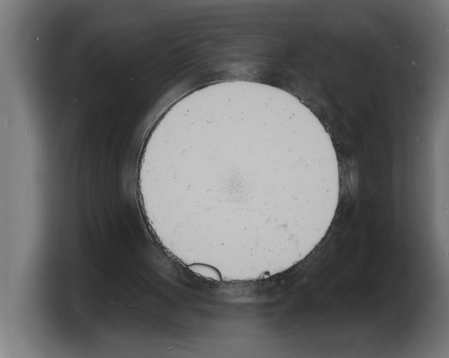 X0000103970051200810311533