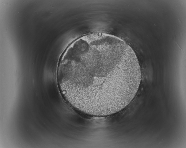 X0000103970052200810311533